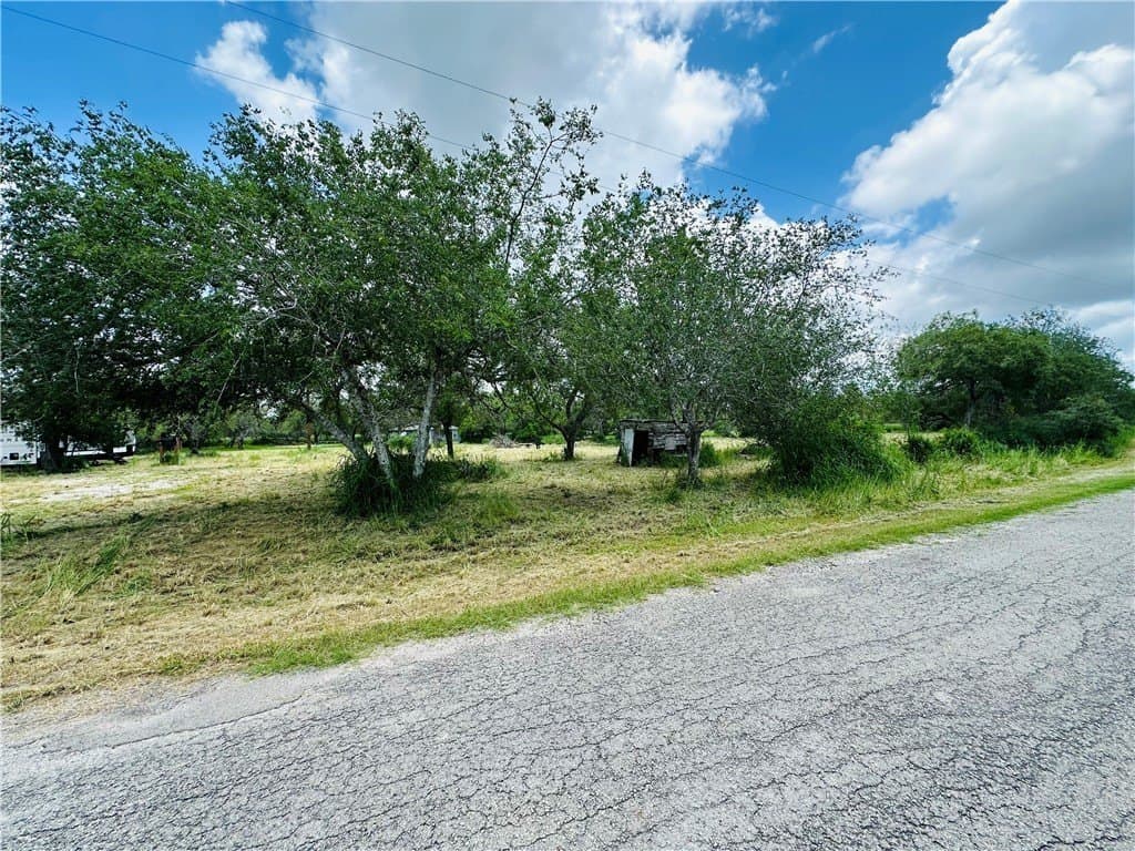 2.17 acres in Bee County - photo 8