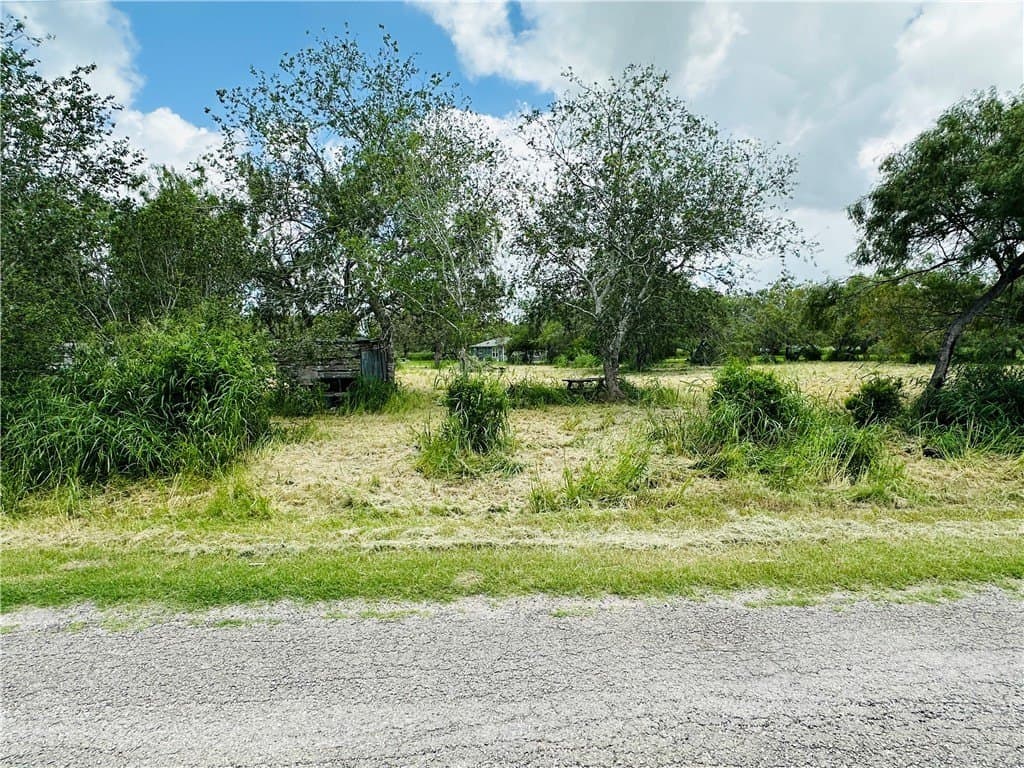 2.17 acres in Bee County - photo 6