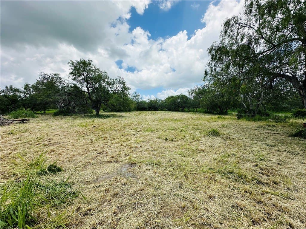 2.17 acres in Bee County gallery image 3