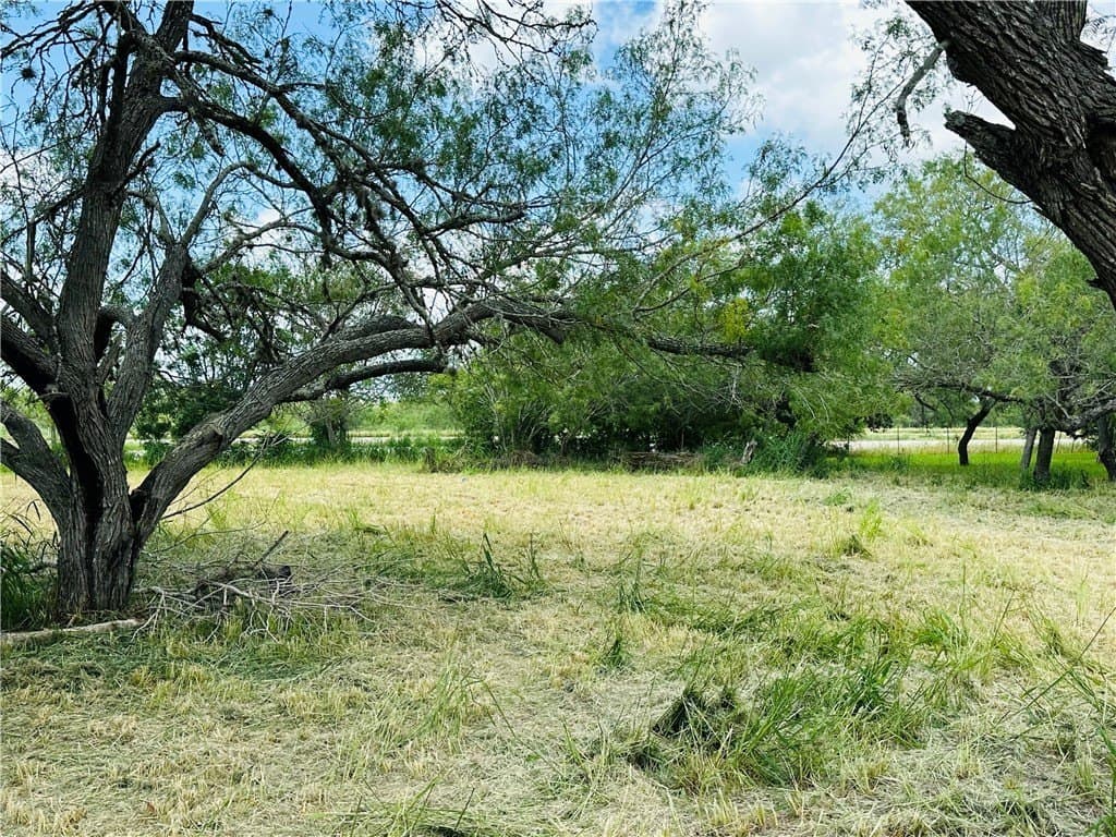 2.17 acres in Bee County - photo 14