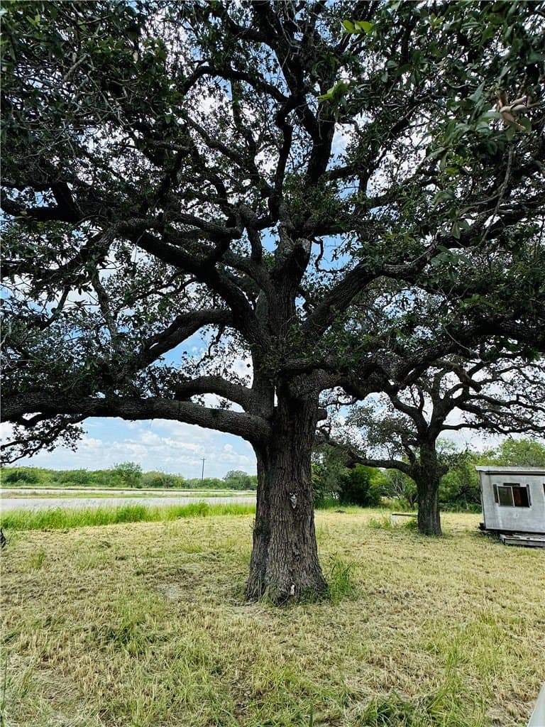 2.17 acres in Bee County