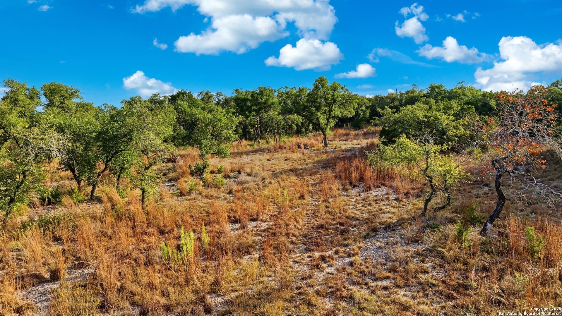 5.01 acres in Comal County - photo 18