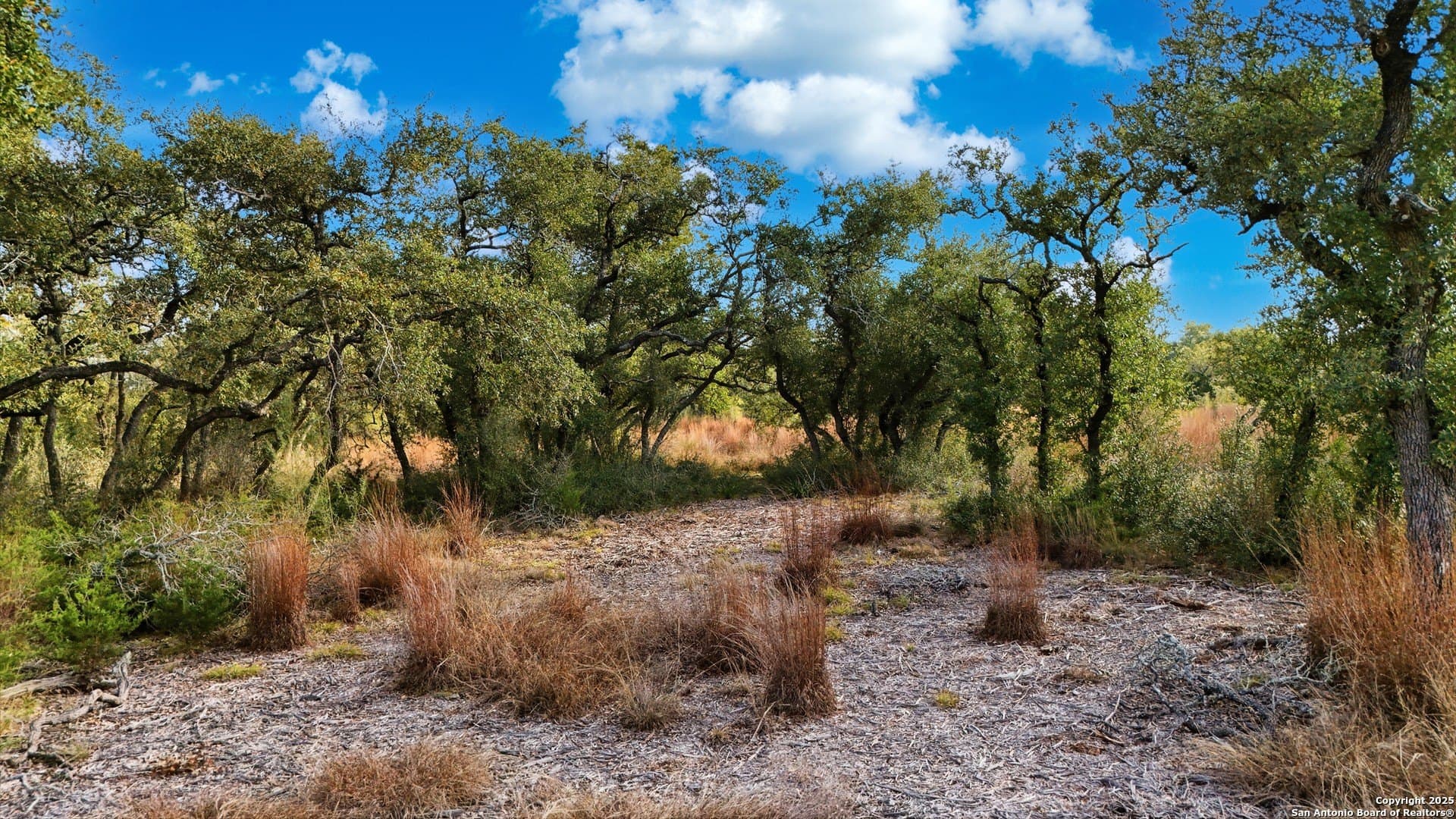 5.01 acres in Comal County - photo 17