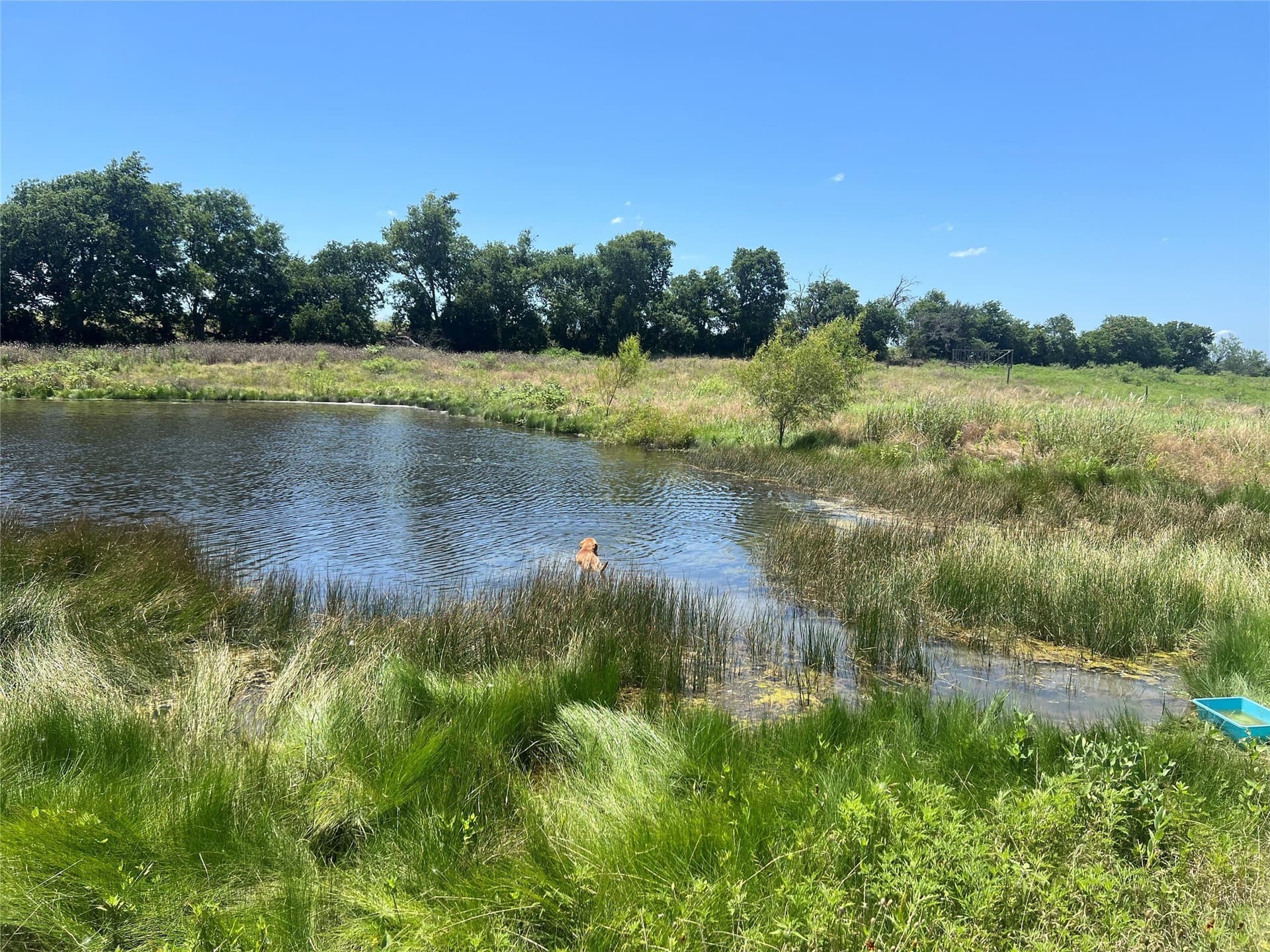 52.5 acres in Hill County - photo 14