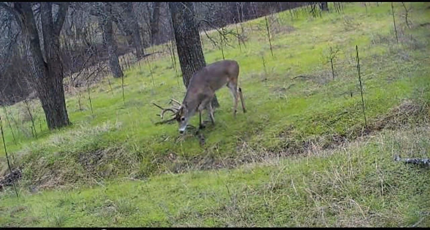 52.5 acres in Hill County - photo 25