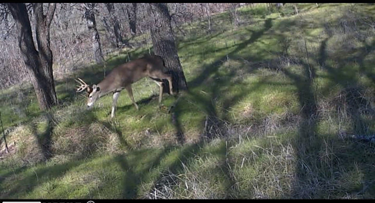 52.5 acres in Hill County - photo 26