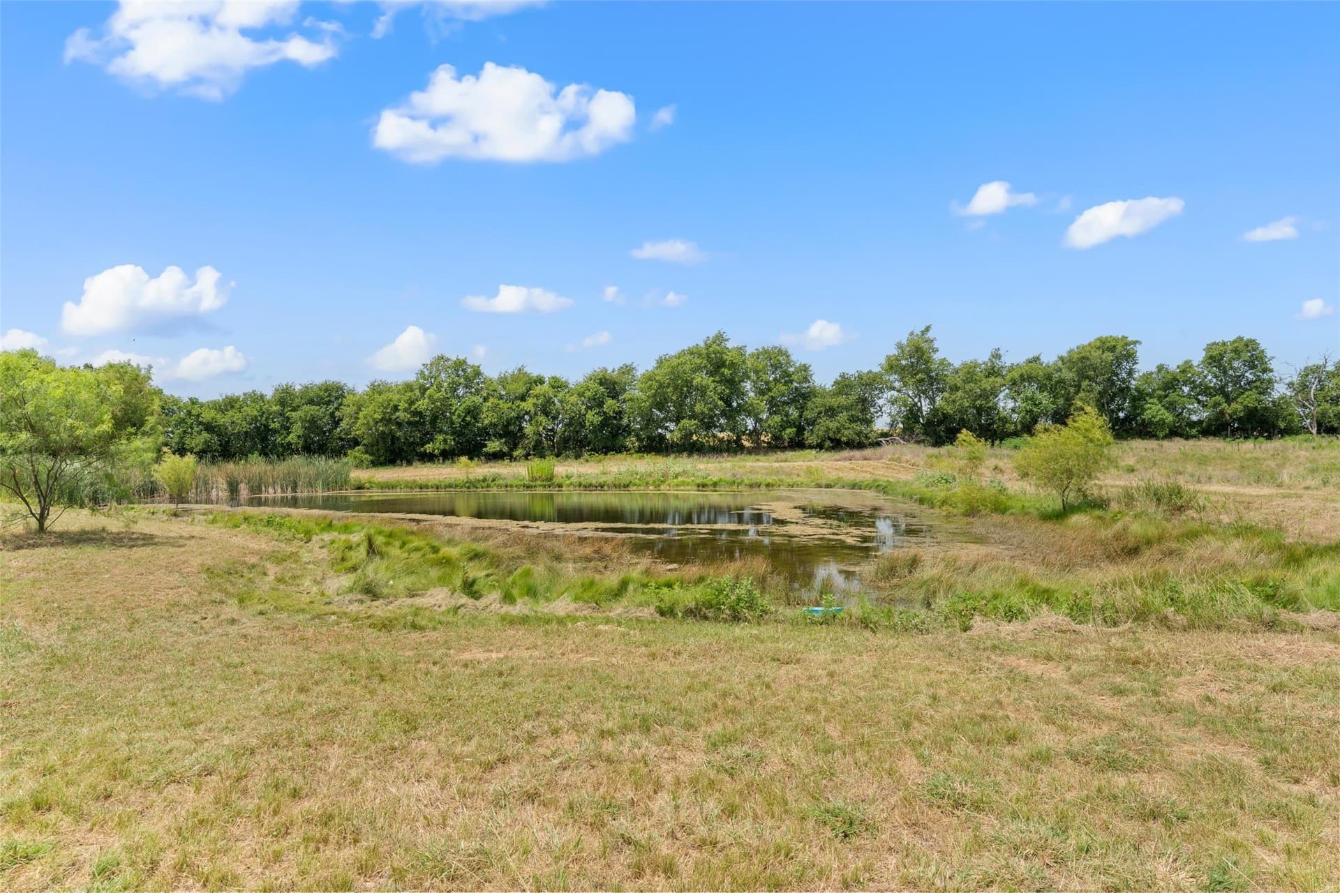52.5 acres in Hill County - photo 23