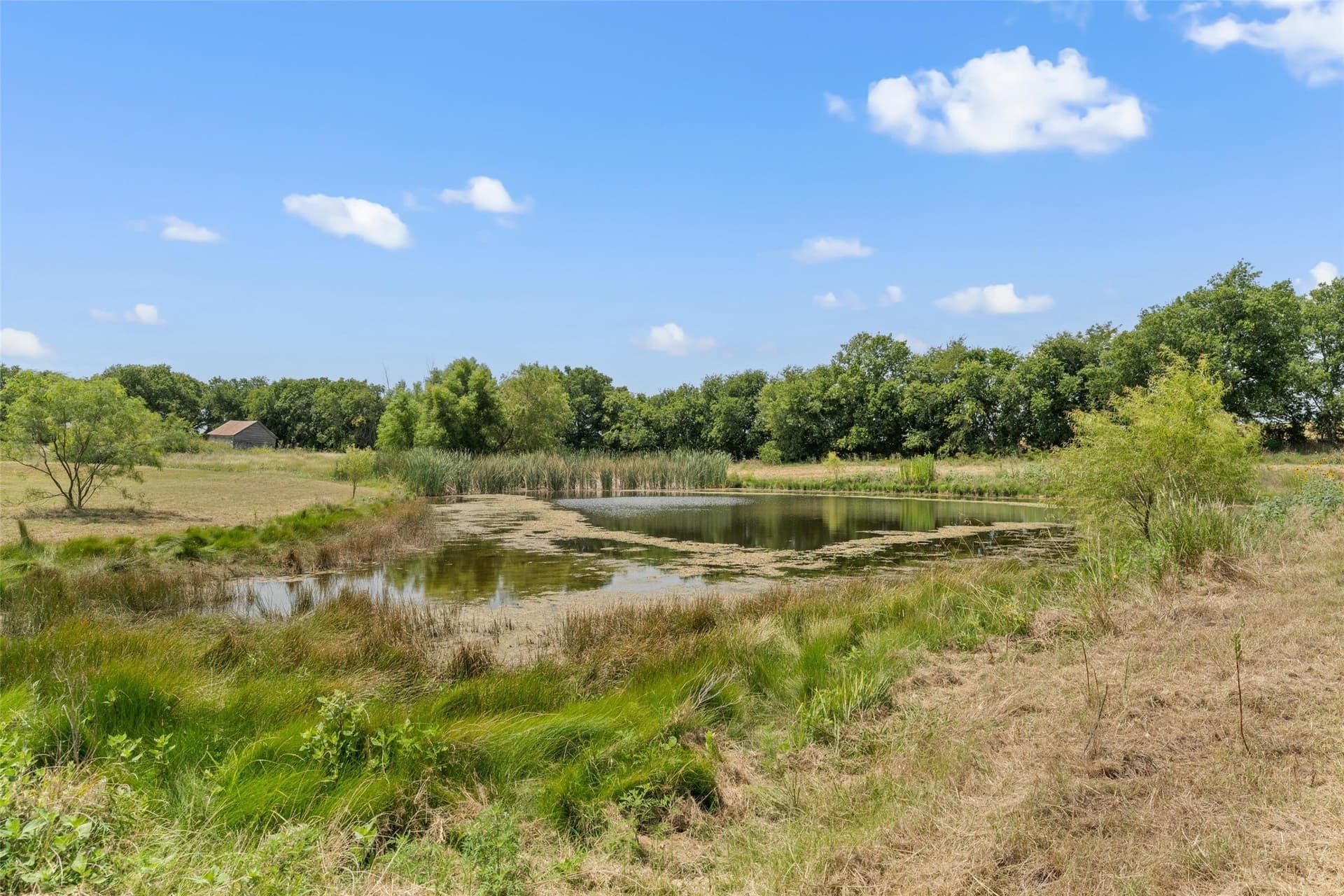 52.5 acres in Hill County - photo 22