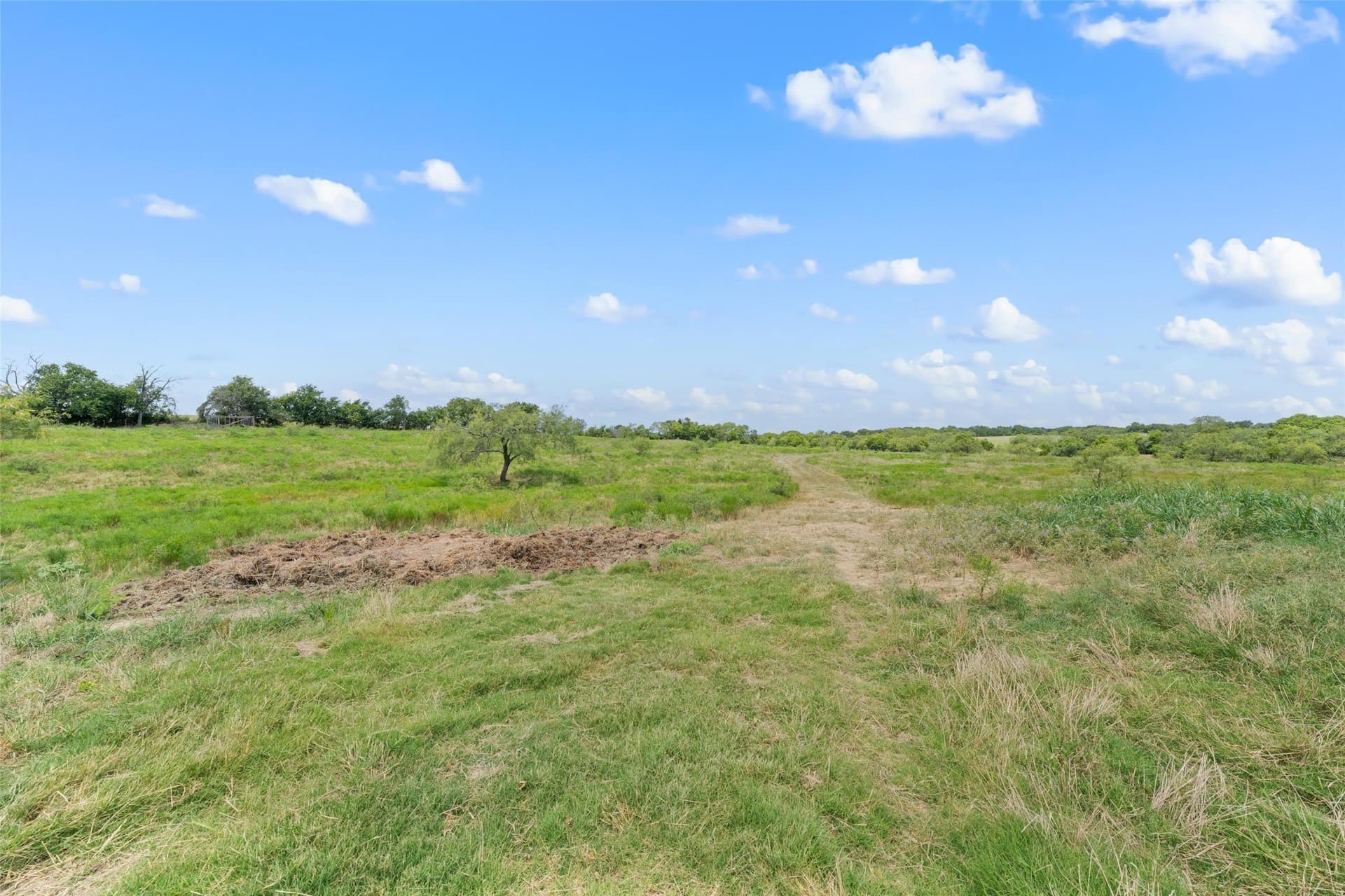 52.5 acres in Hill County - photo 17