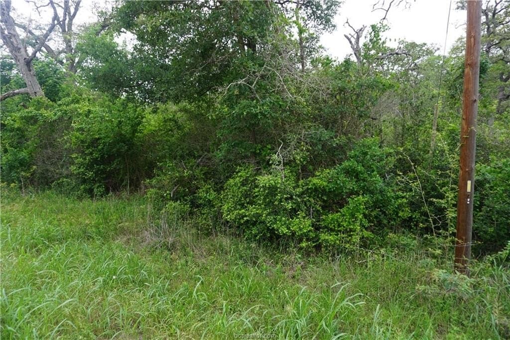 2.07 acres in Burleson County gallery image 3