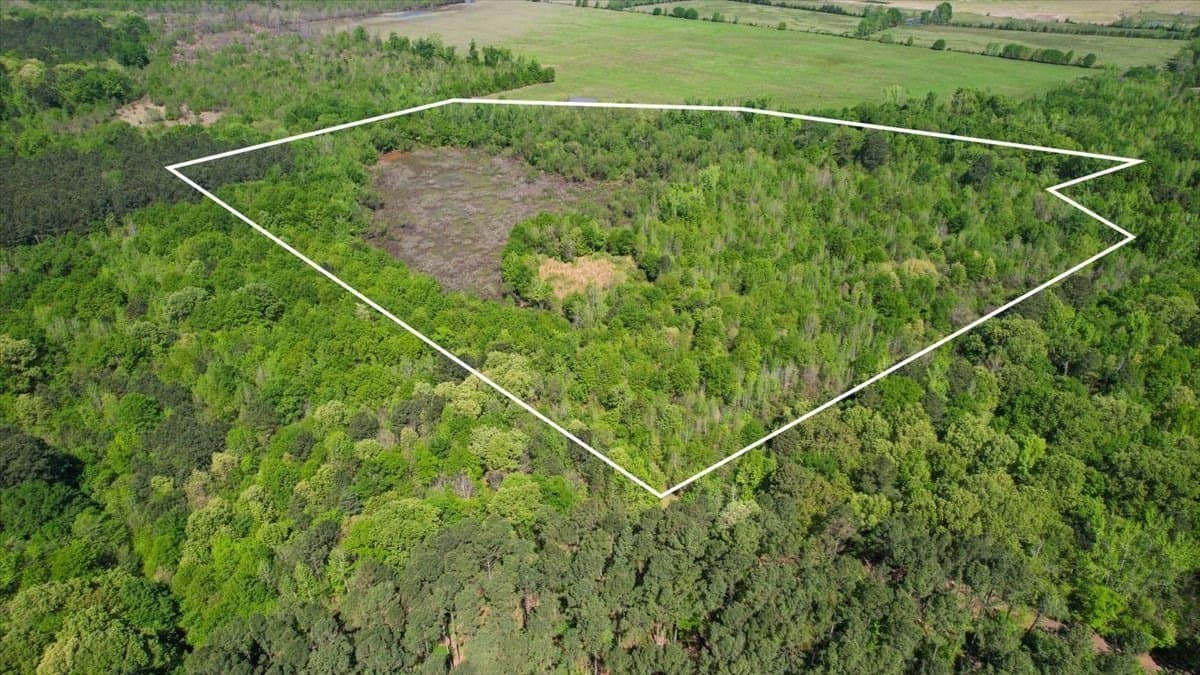 21.74 acres in Morris County - photo 6