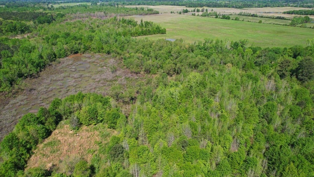 21.74 acres in Morris County - photo 11