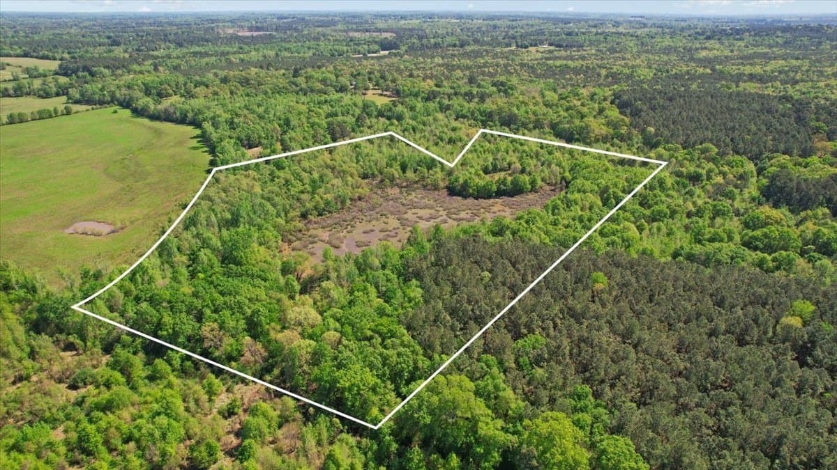 21.74 acres in Morris County - photo 3