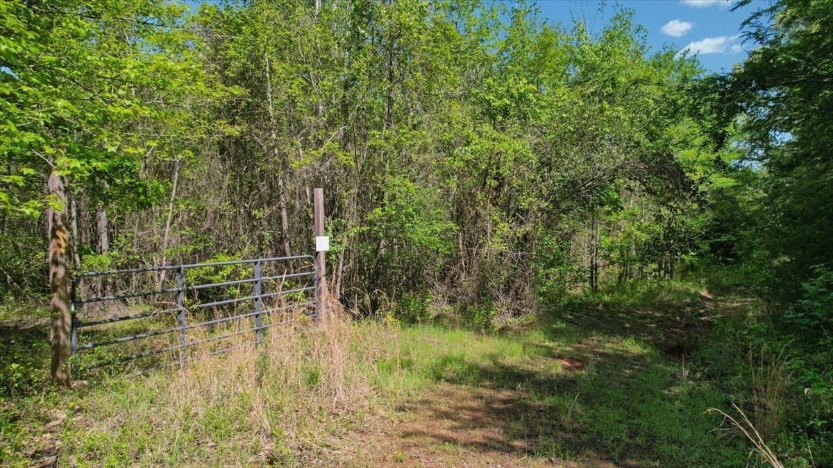 21.74 acres in Morris County - photo 7
