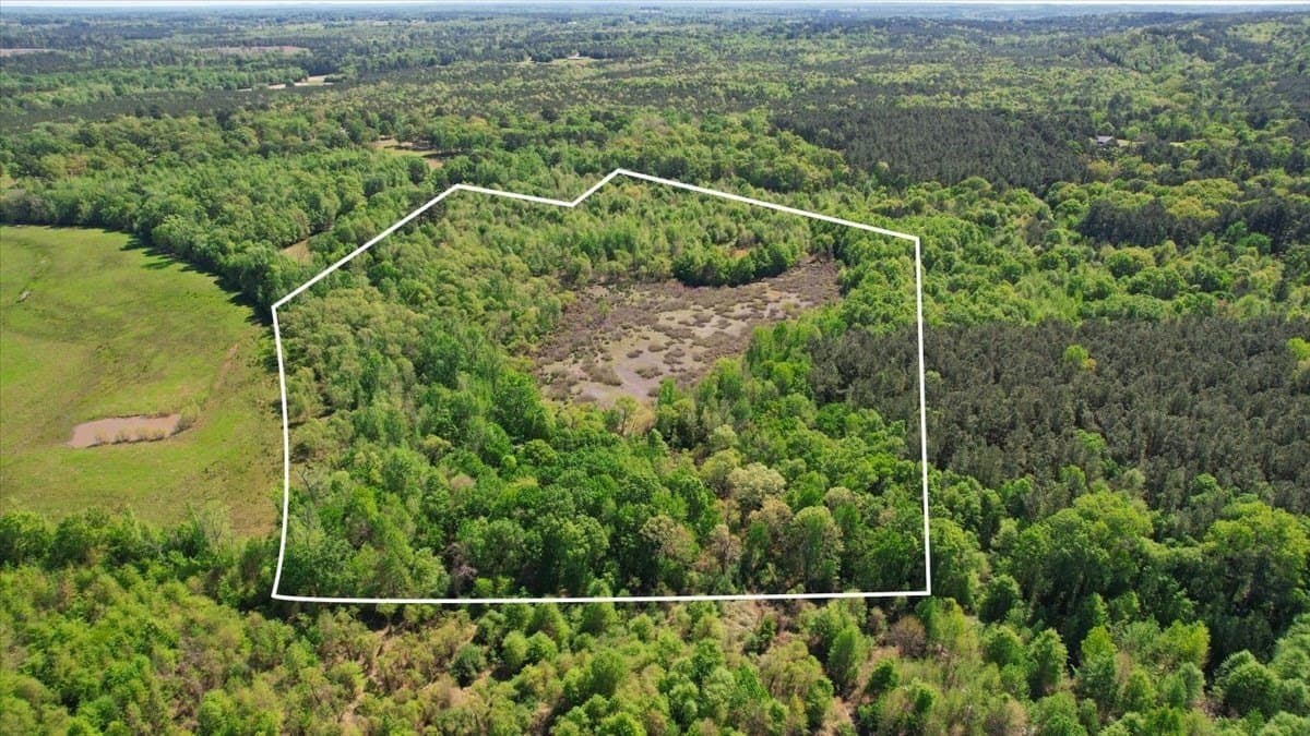 21.74 acres in Morris County - photo 4