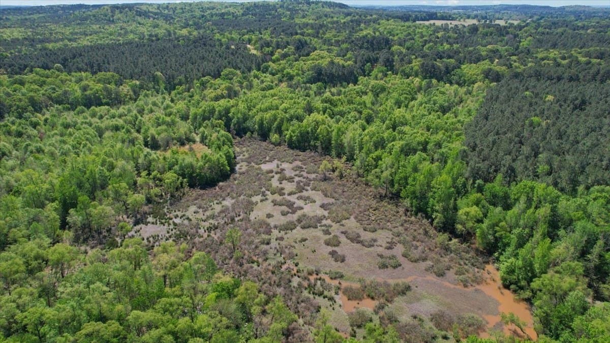 21.74 acres in Morris County - photo 8