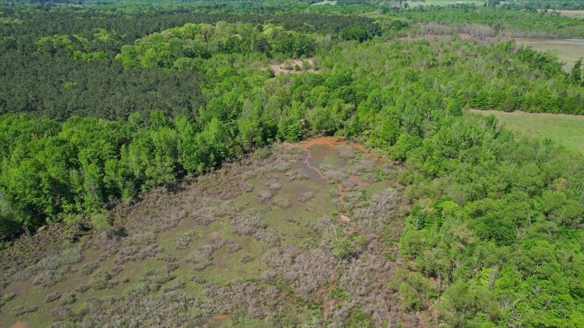 21.74 acres in Morris County - photo 10