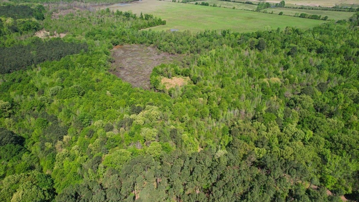 21.74 acres in Morris County - photo 13