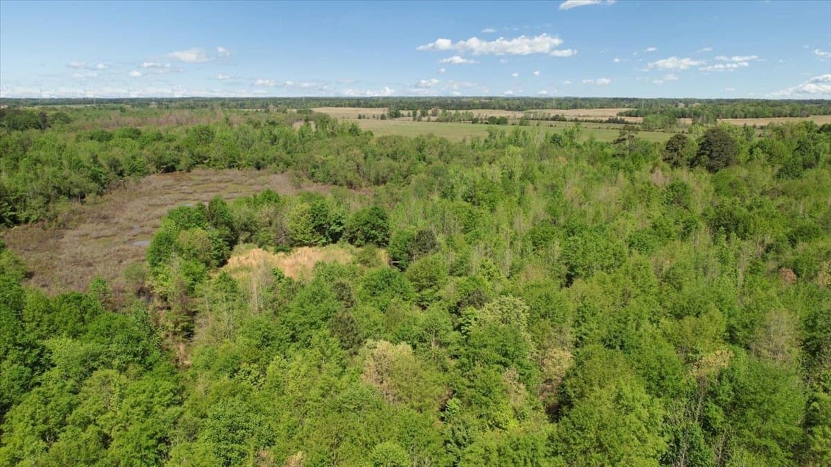 21.74 acres in Morris County - photo 12