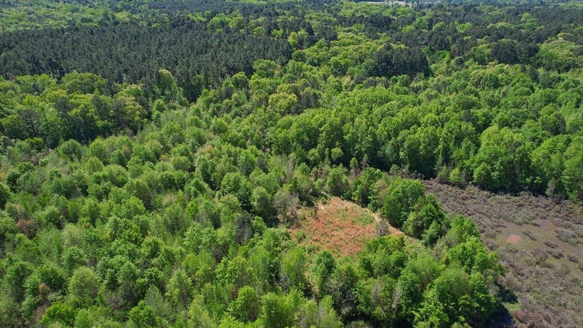 21.74 acres in Morris County - photo 9