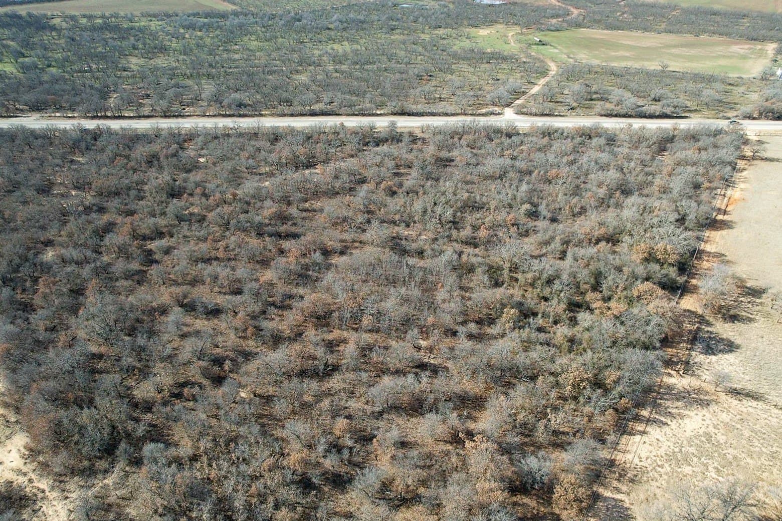 11 acres in Jones County gallery image 3