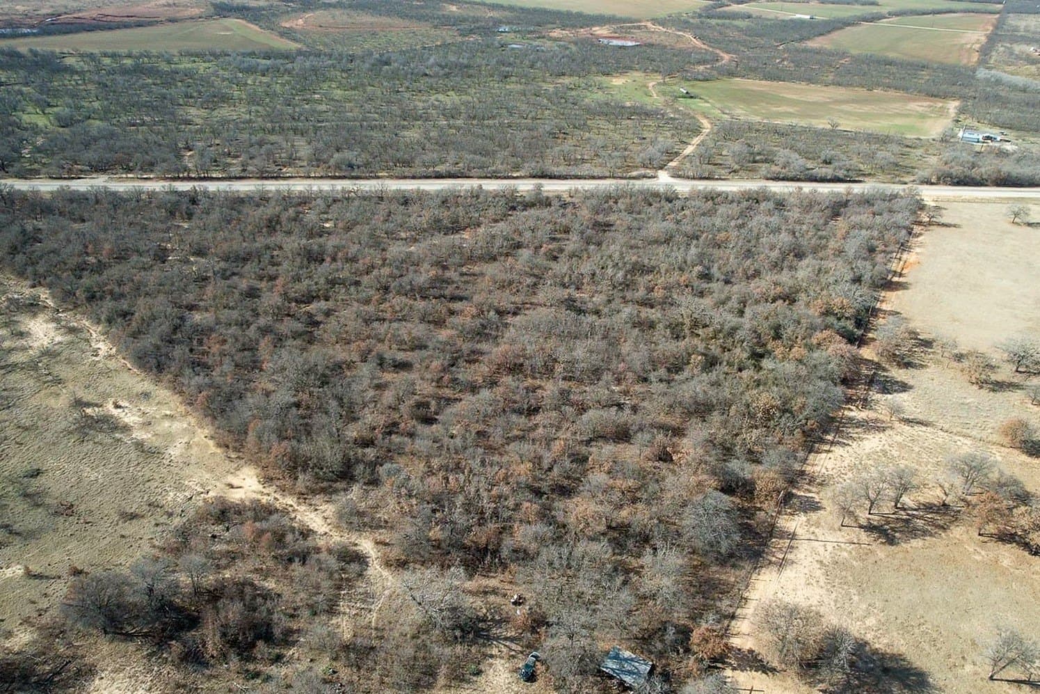 11 acres in Jones County gallery image 4