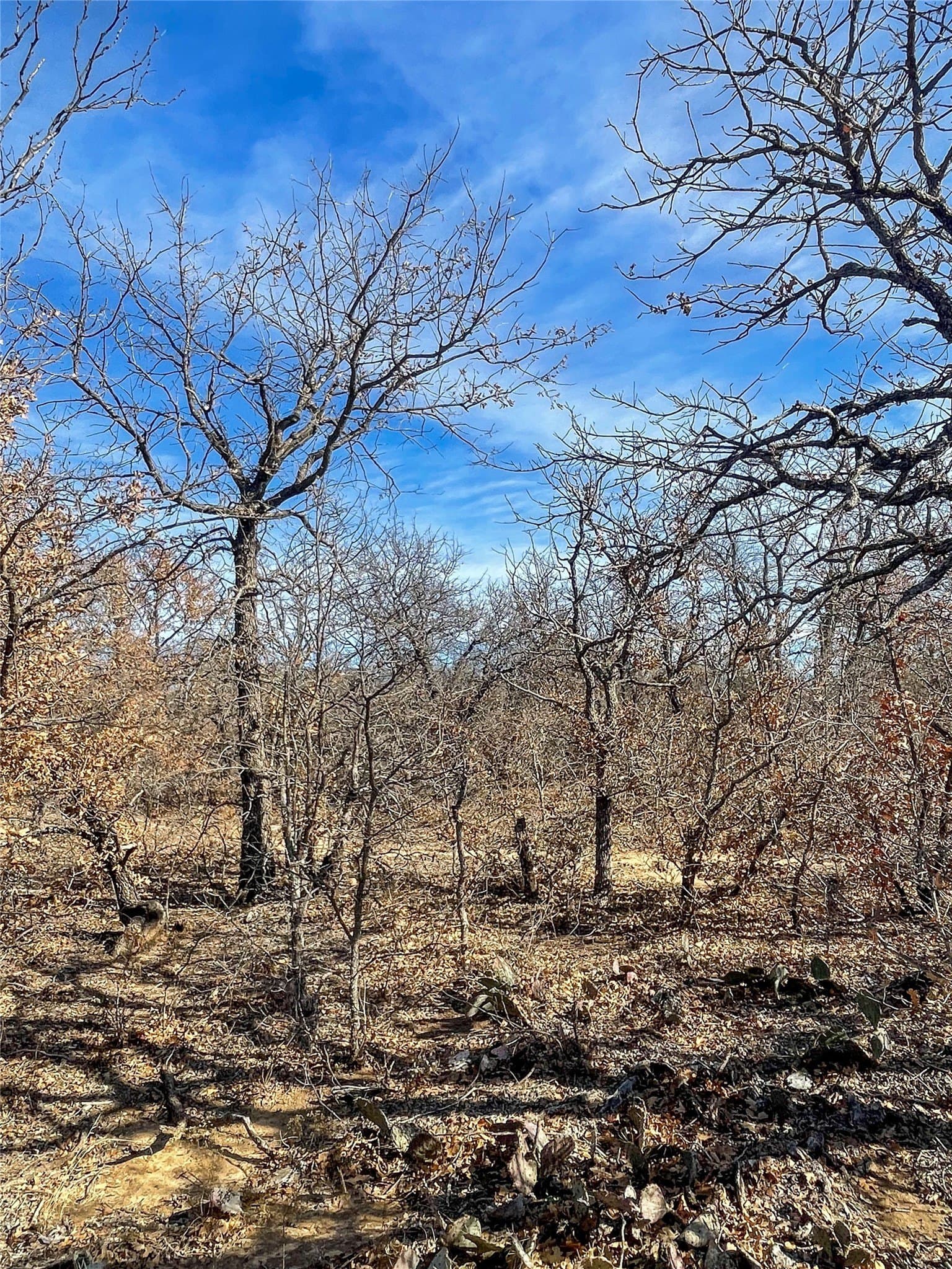 11 acres in Jones County - photo 11