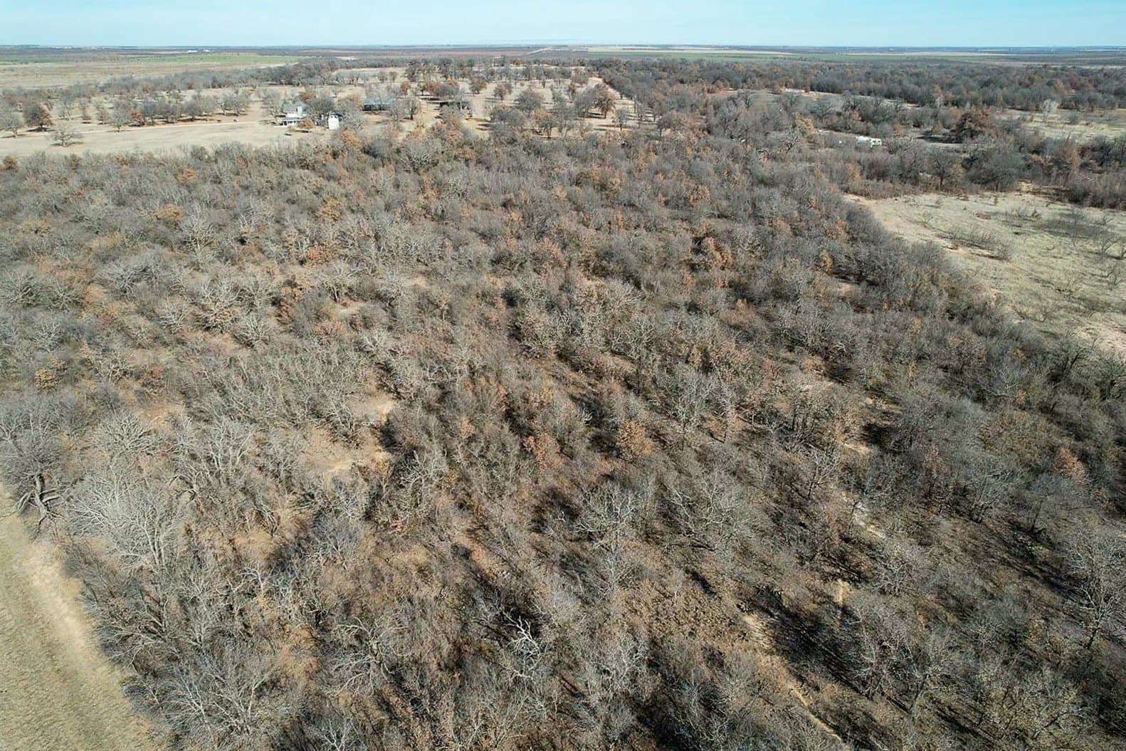 11 acres in Jones County - photo 6