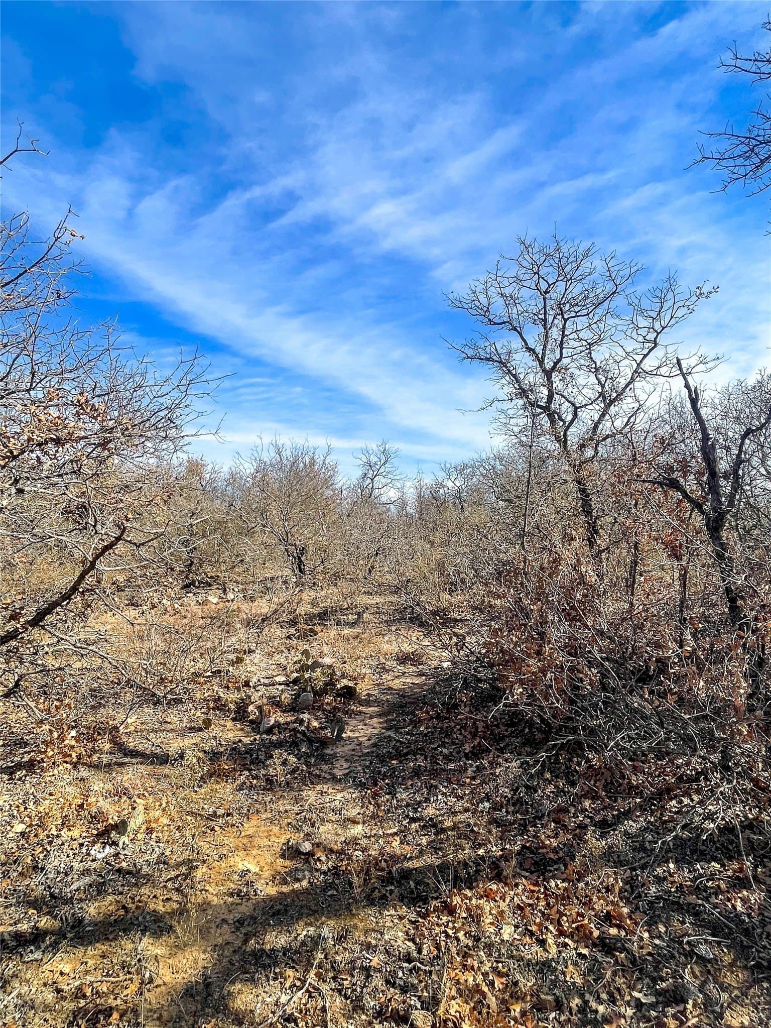 11 acres in Jones County - photo 9
