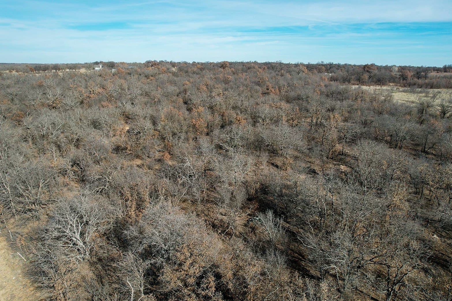 11 acres in Jones County - photo 7