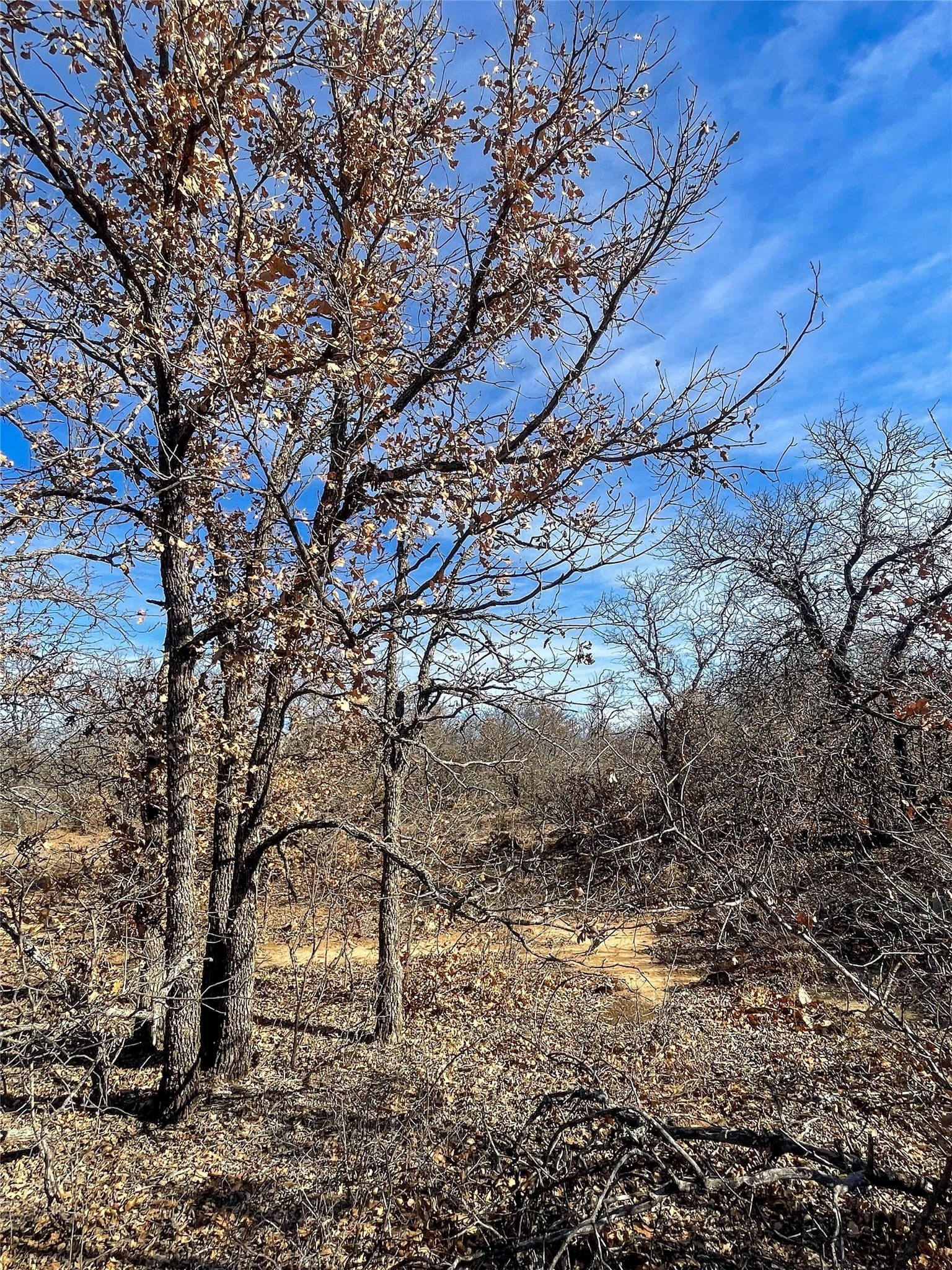11 acres in Jones County - photo 12