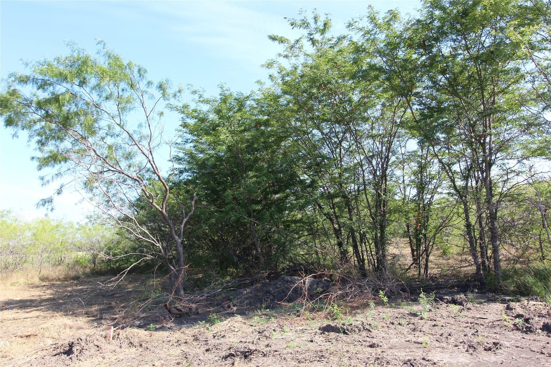 1.51 acres in Kaufman County - photo 13