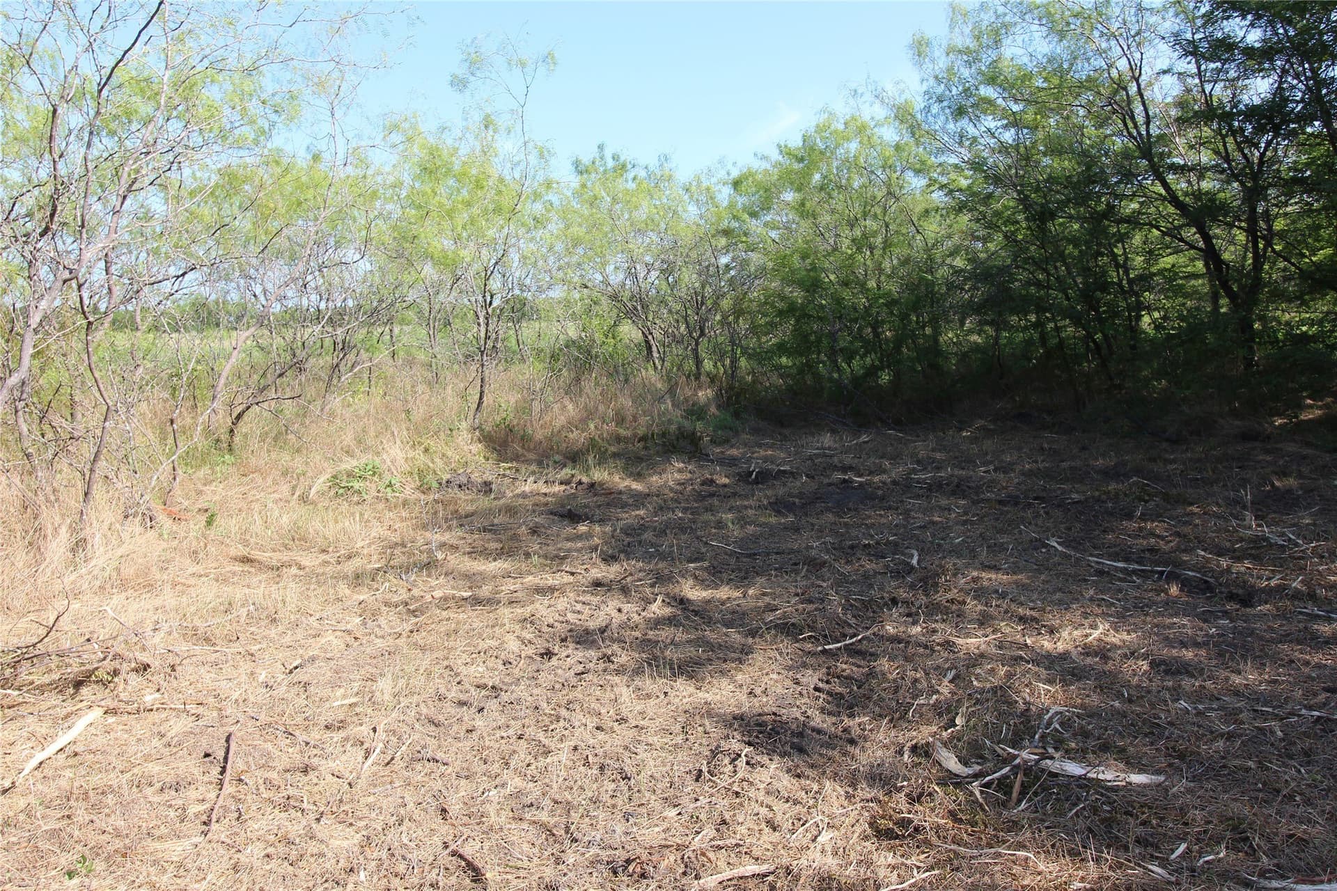 1.51 acres in Kaufman County - photo 9
