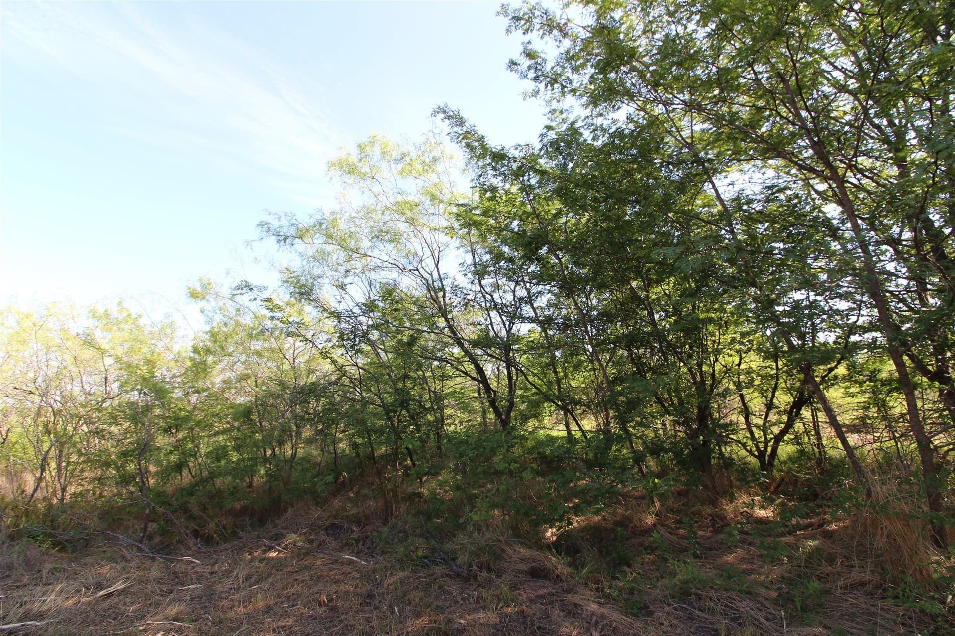 1.51 acres in Kaufman County - photo 11