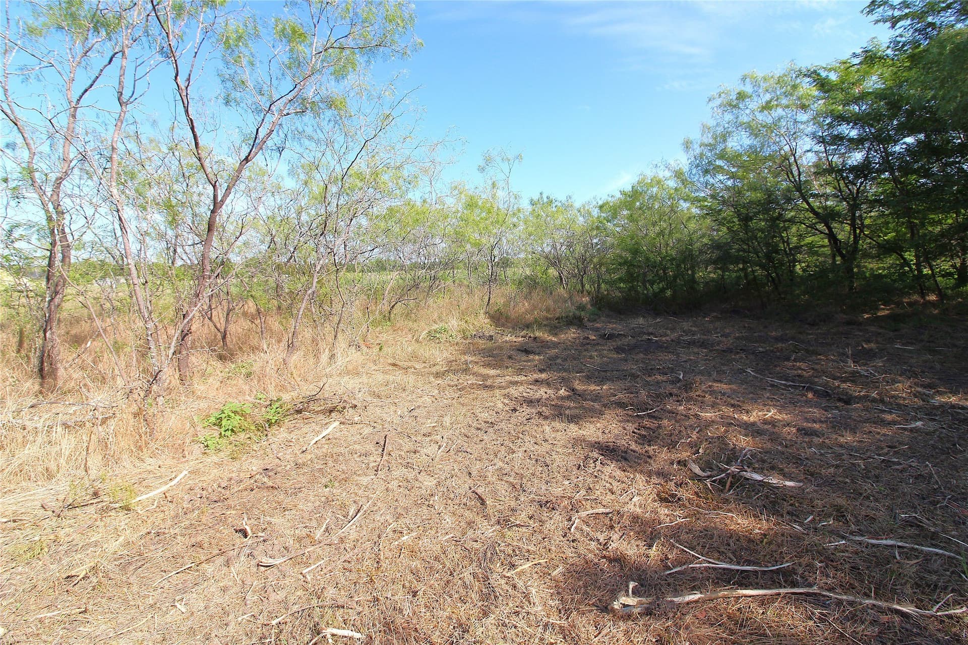 1.51 acres in Kaufman County - photo 8