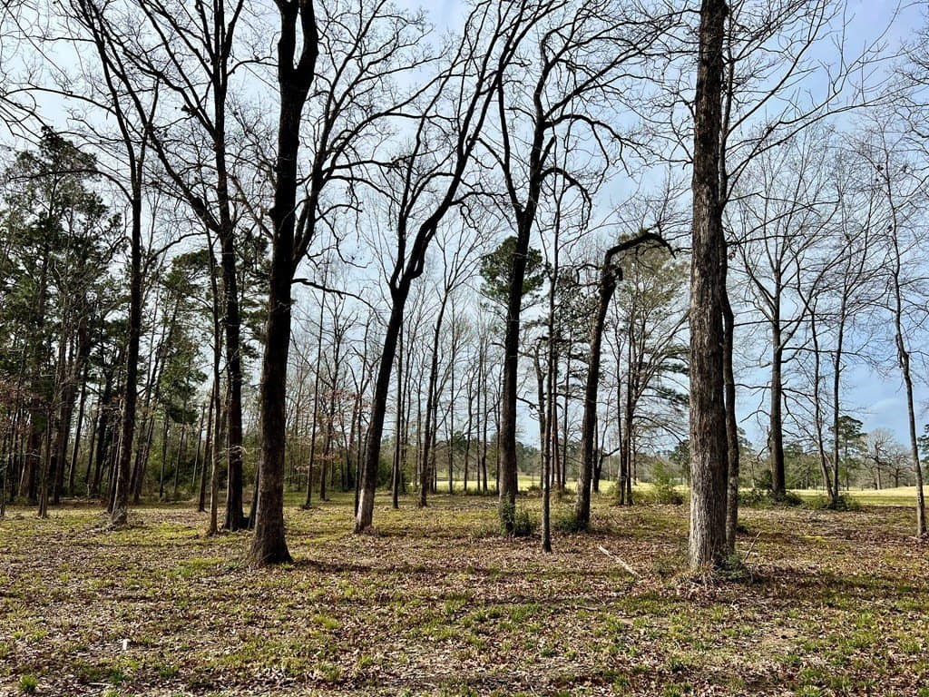 3.48 acres in Texas County - photo 7