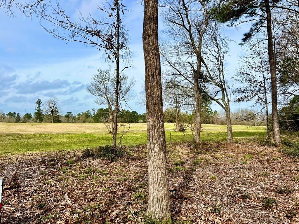 3.48 acres in Texas County - photo 16