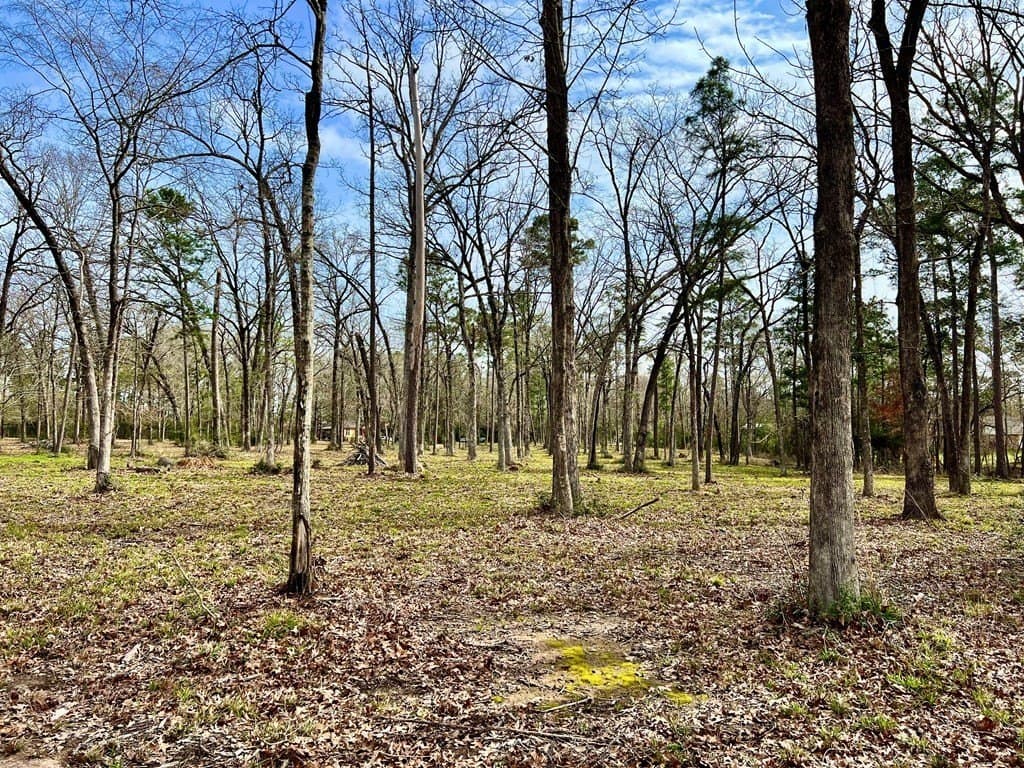 3.48 acres in Texas County - photo 20