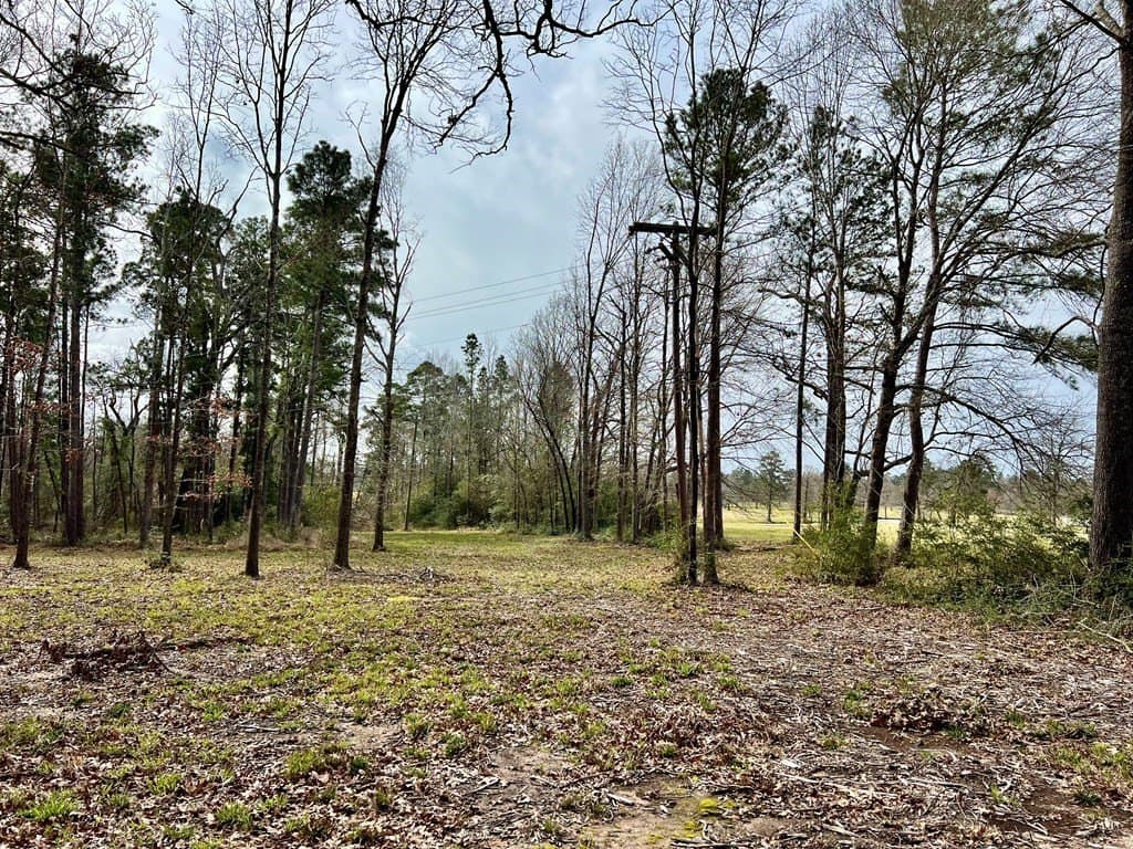 3.48 acres in Texas County - photo 11