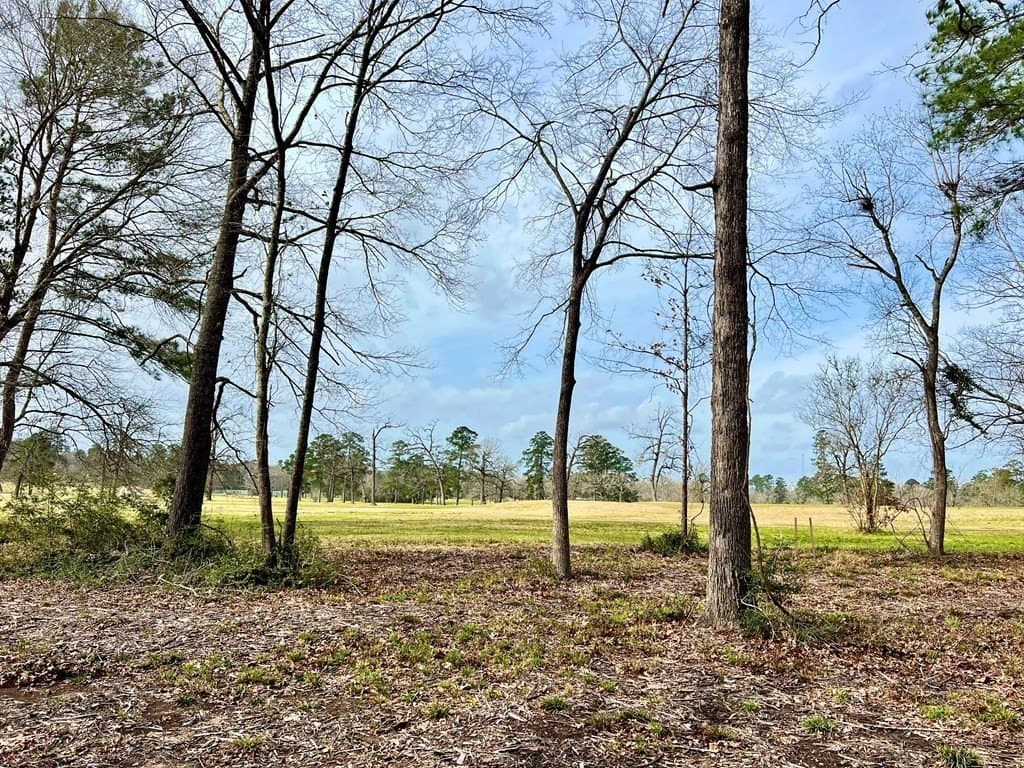3.48 acres in Texas County - photo 10