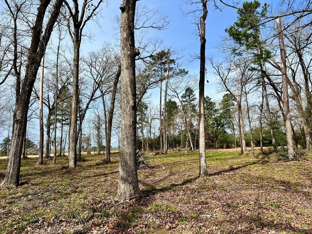 3.48 acres in Texas County - photo 6