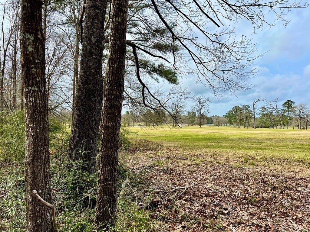 3.48 acres in Texas County - photo 15