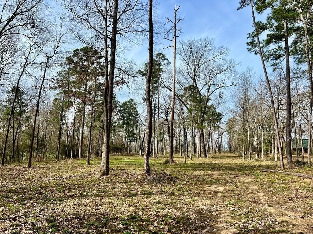 3.48 acres in Texas County - photo 19