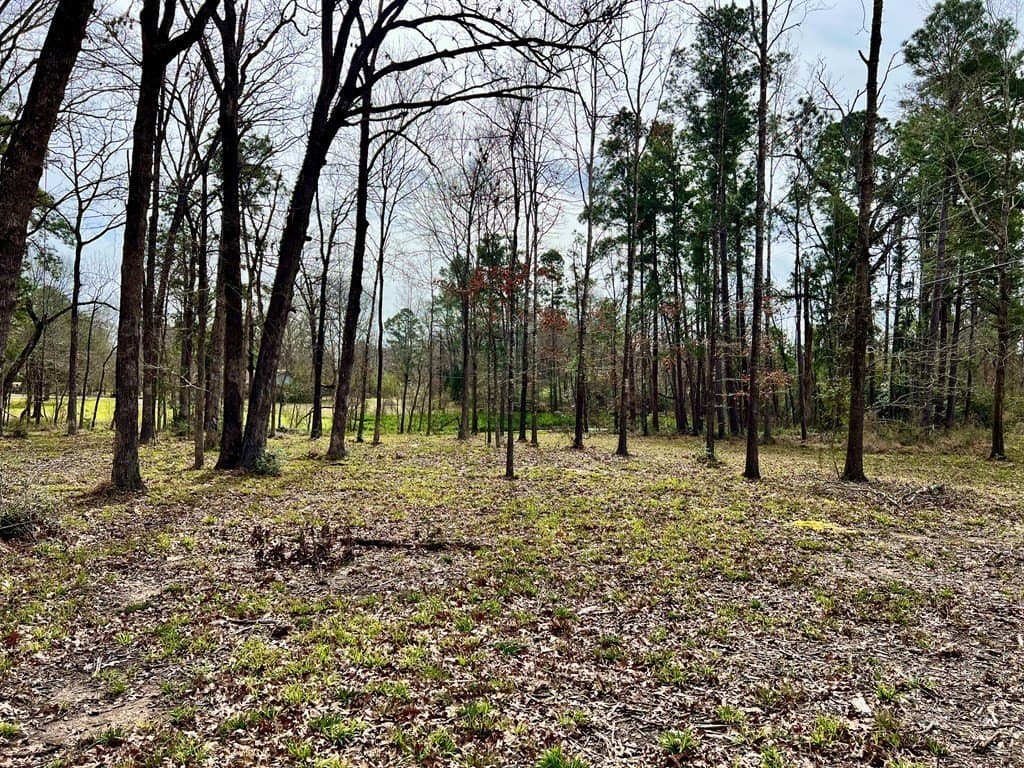 3.48 acres in Texas County - photo 17