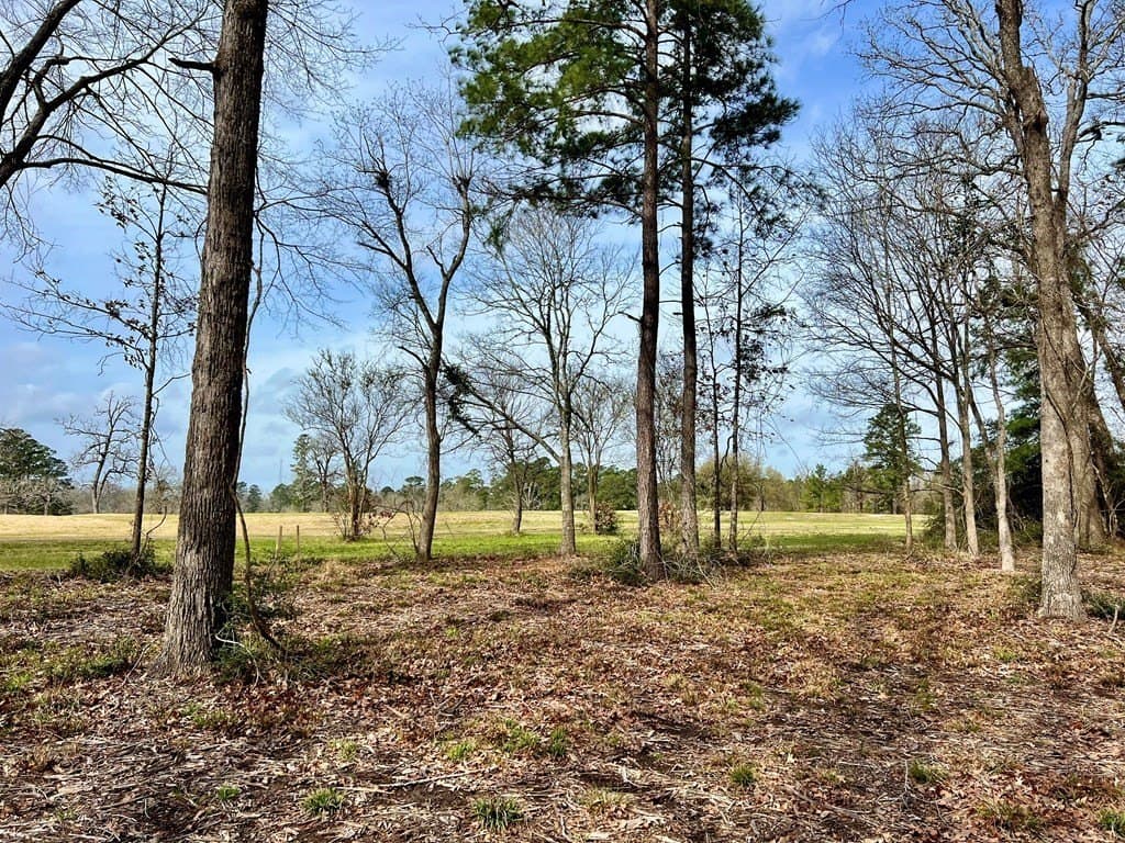 3.48 acres in Texas County - photo 12