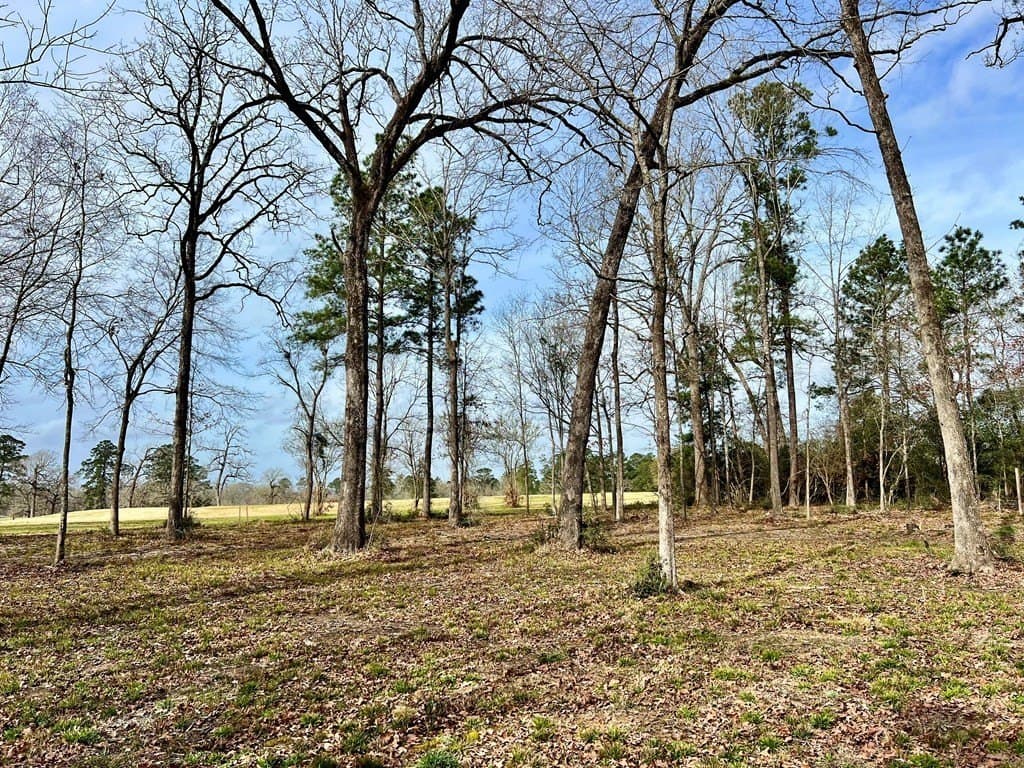 3.48 acres in Texas County - photo 8