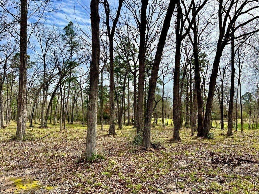 3.48 acres in Texas County - photo 18
