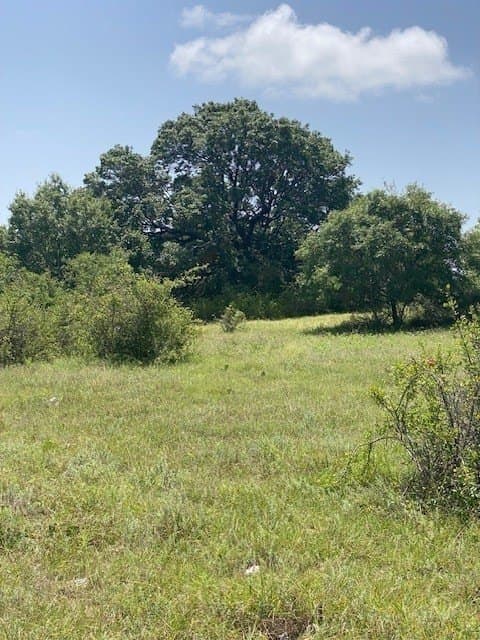 10.01 acres in Hamilton County - photo 4