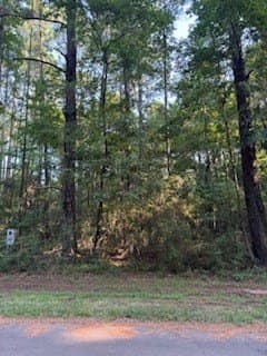0.24 acres in Texas County - photo 6