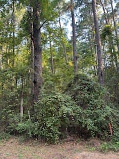 0.24 acres in Texas County gallery image 4